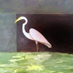 Egret