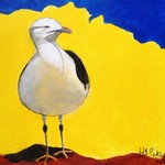 Seagull