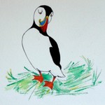 Pete the Puffin 1